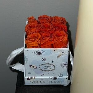 Venus Et Fleur Small